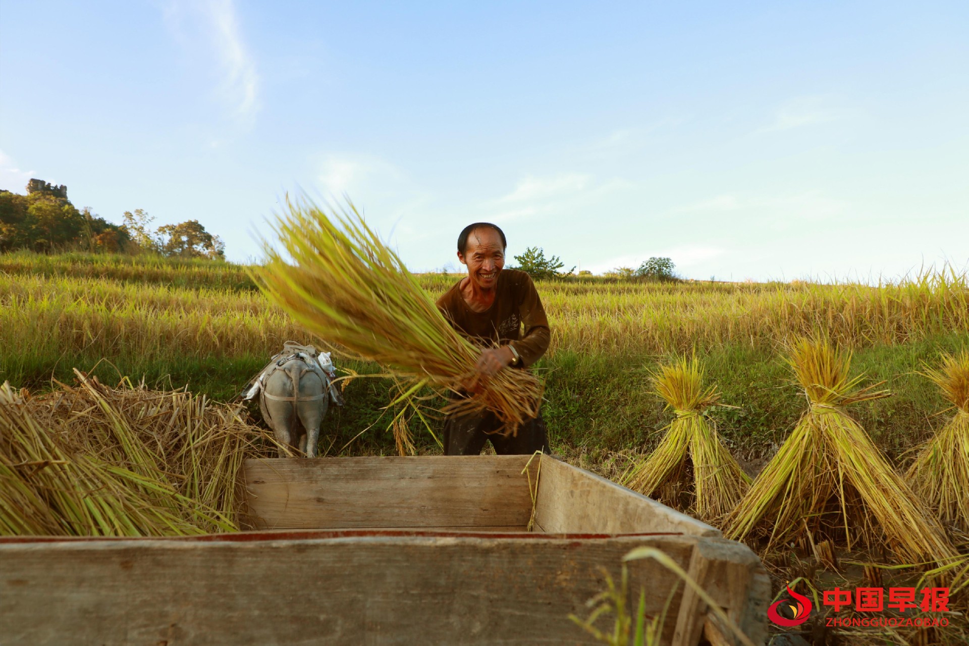 1758208551136462.jpg 1758208551136462.jpg