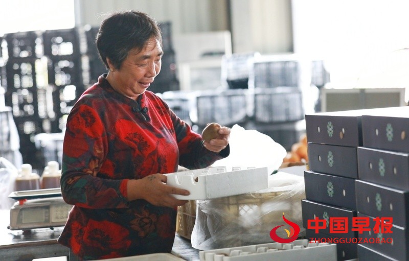 1758938263155216.jpg 4_副本.jpg