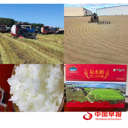 农安县三岗镇永远村：兵支书领航振兴路，特色物产誉乡邻(图5)