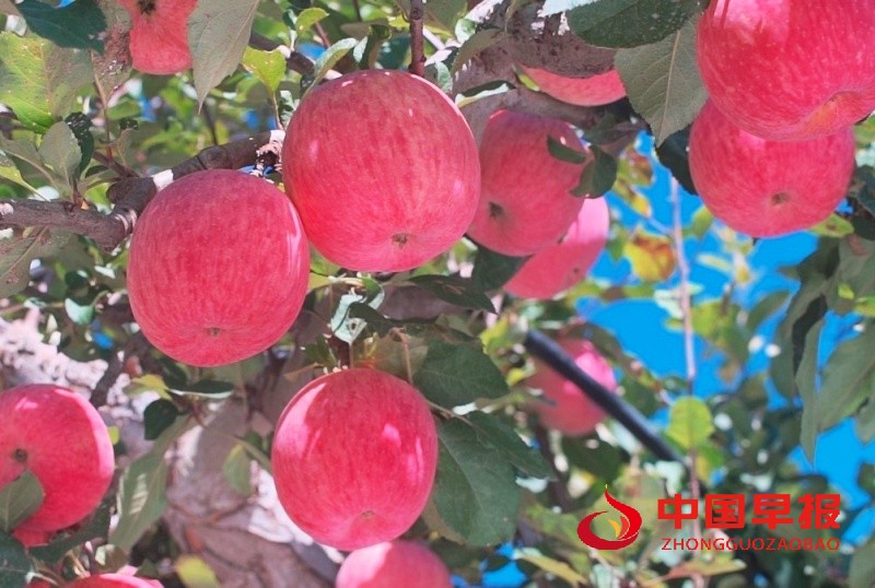 1759665950146482.jpg 1_副本.jpg