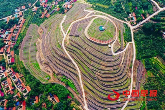 1759665967109865.jpg 3_副本.jpg