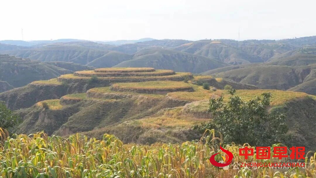 1760082430128694.jpg 图片01.jpg