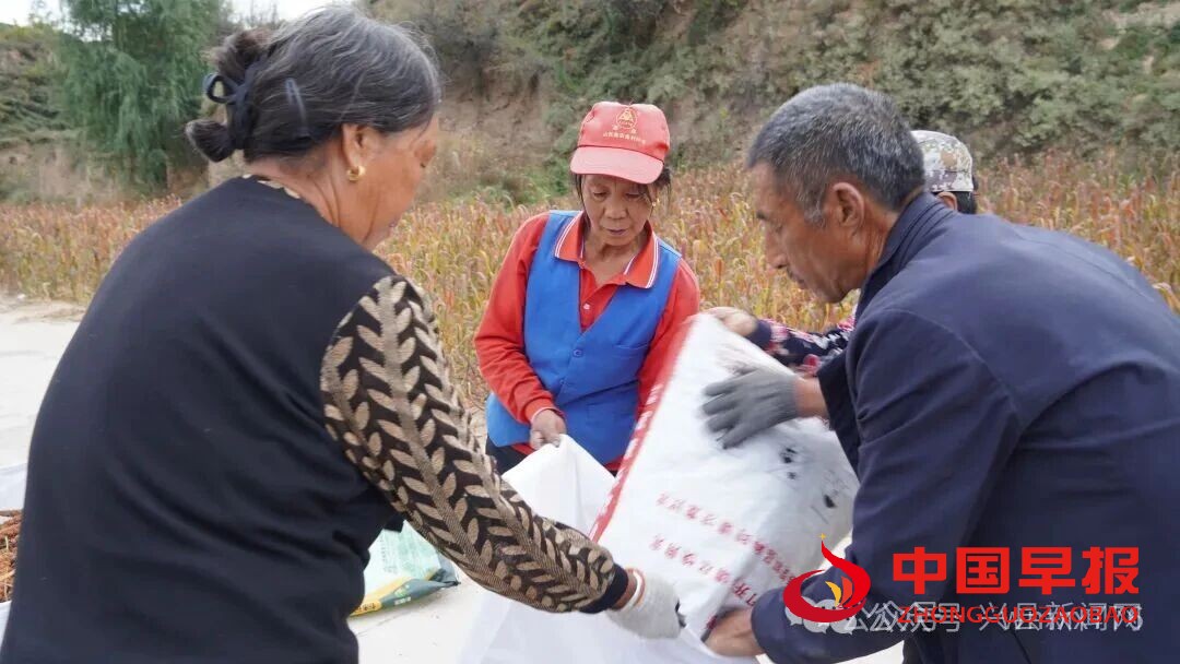 1760082566213256.jpg 图片04.jpg