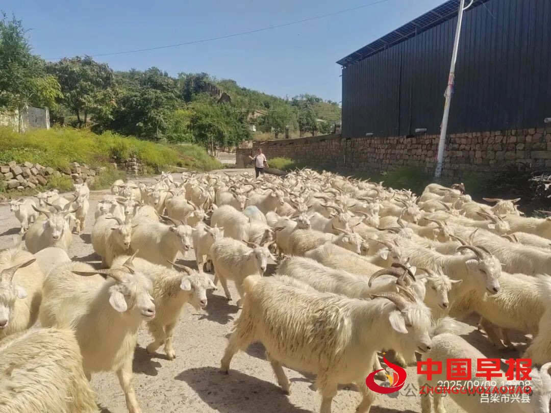 1760085870885310.jpg 图片03.jpg