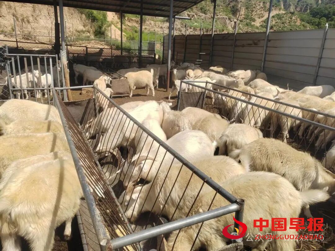 1760086148477580.jpg 图片09.jpg