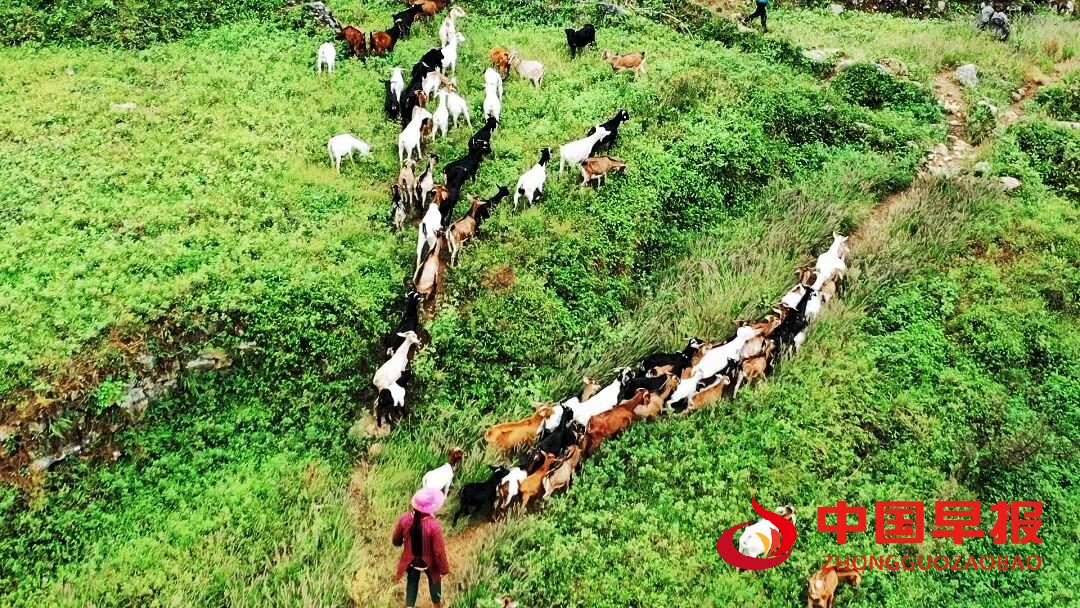 1760426439377725.jpg 图片05.jpg