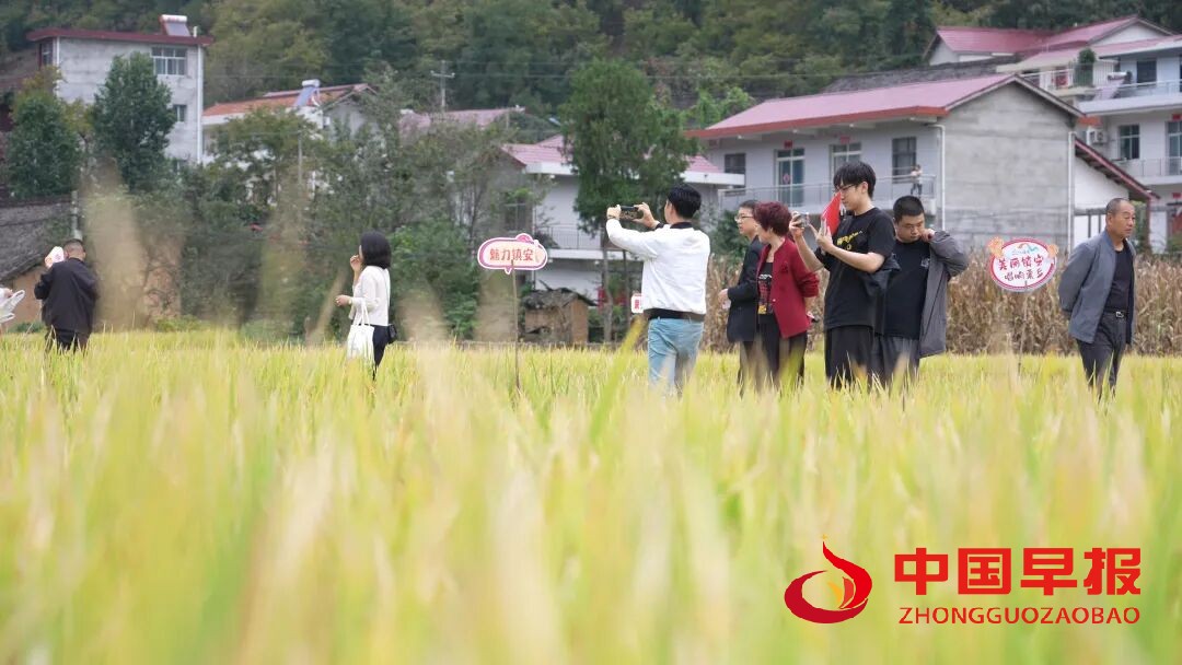 1760581831185756.jpg 图片02.jpg