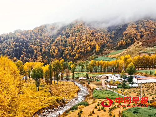 青海海东延续“绿色接力” 聚力绘就河湟谷地生态画卷(图2) 青海海东延续“绿色接力” 聚力绘就河湟谷地生态画卷(图2)