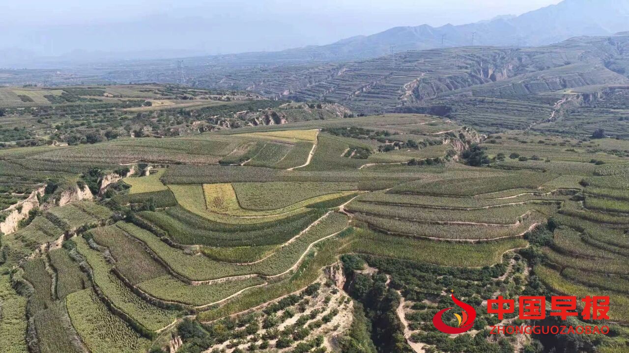 1761013093869863.jpg 图片01.jpg