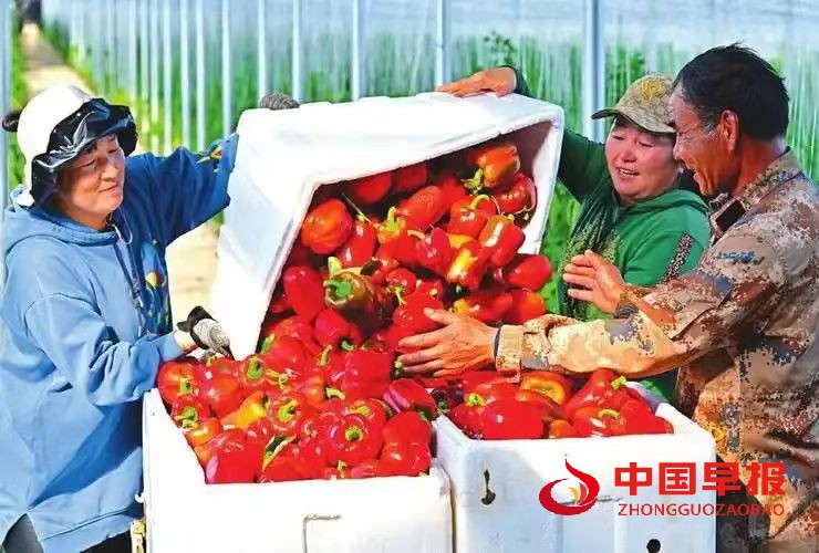 1761035383198601.jpg 图片05.jpg