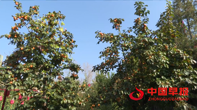 1761131482148329.png 微信图片_2025-10-22_190624_221.png