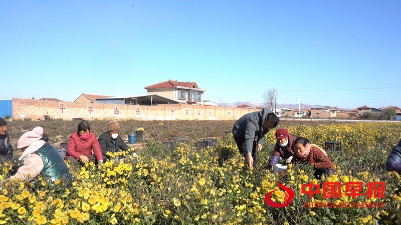 1764040418134229.jpg 微信图片_20251125075016_289_15.jpg