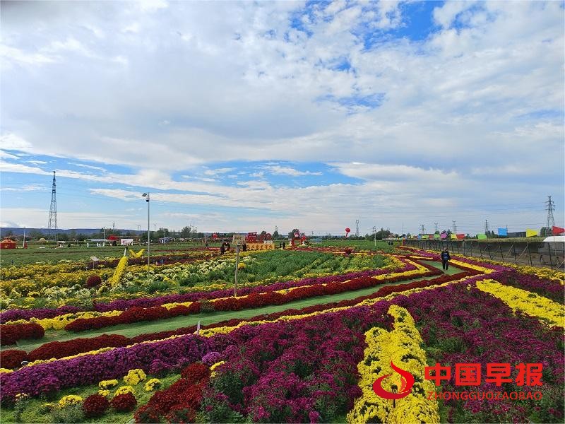 1764040548134897.jpg 微信图片_20251125075012_284_15.jpg