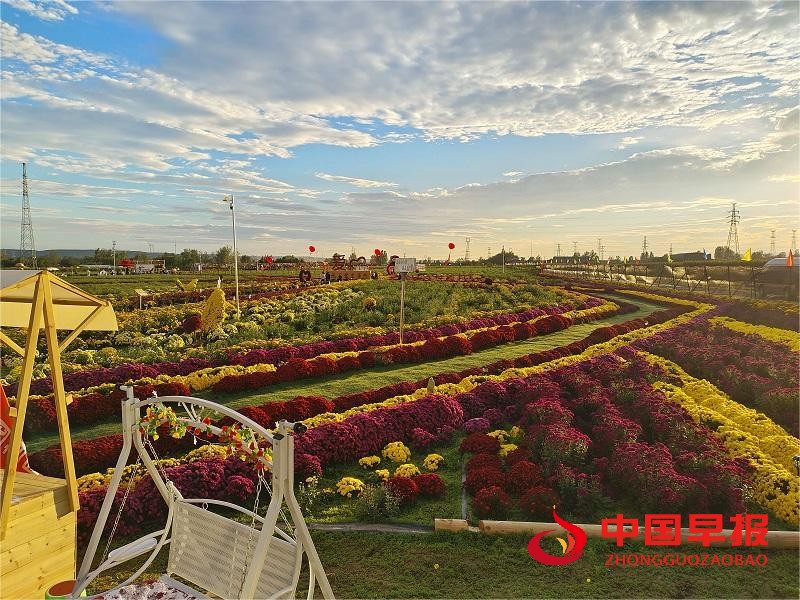 1764040575550855.jpg 微信图片_20251125075013_285_15.jpg