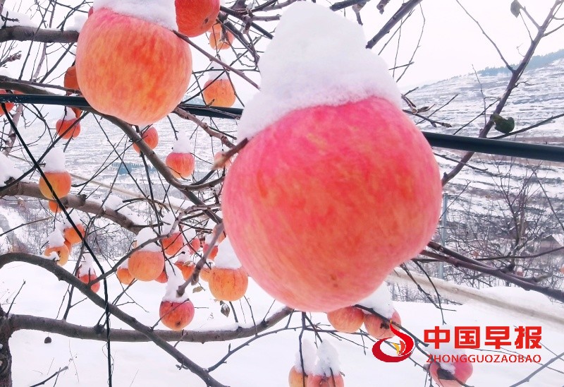 1765623130323429.jpg 1_副本.jpg