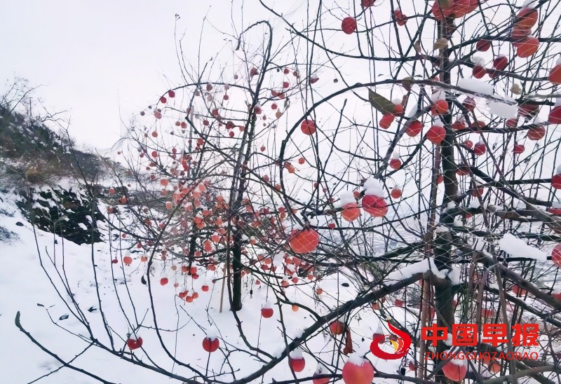 1765623144497366.jpg 2_副本.jpg