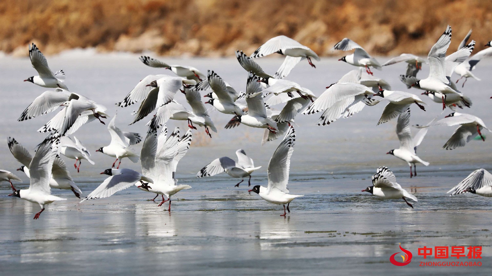 1766714752316323.jpg 图片011.jpg